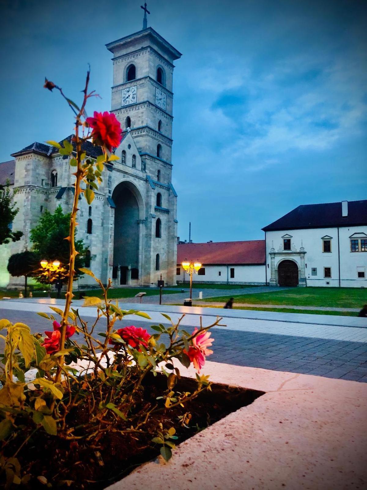 Apartament Cetate Alba Carolina Alba Iulia Ngoại thất bức ảnh